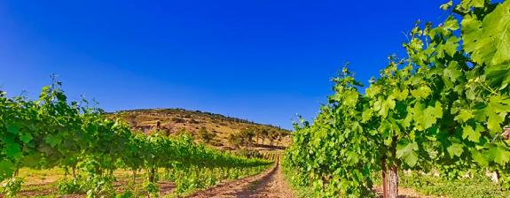 Voyage en Israël - Echappée Belle en Galilée