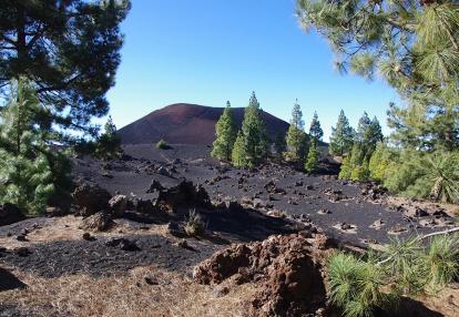 Sur les Sentiers de Tenerife