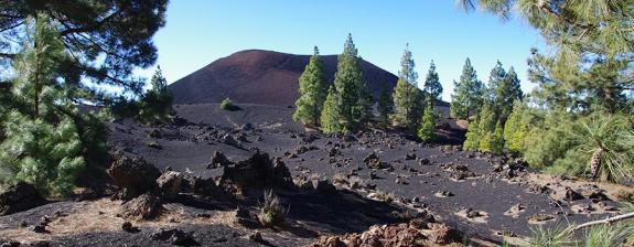 Voyage aux Iles Canaries - Sur les Sentiers de Tenerife