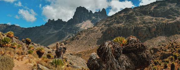 Voyage au Kenya - Du Mont Kenya au Masai Mara