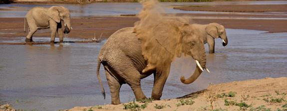 Voyage au Kenya - Lune de miel d'exception