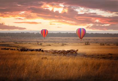 Masai Mara sunrise with wildebeest and balloons Voyage au Kenya - Les plus beaux parcs du Kenya