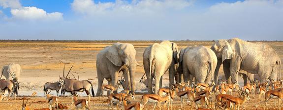 Voyage en Namibie - D’Etosha au Fish River Canyon
