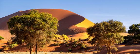 Voyage en Namibie - Incontournable Namibie en Lodge