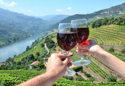 Vineyards in Douro Valley Voyage au Portugal -  Patrimoine et Vins du Portugal