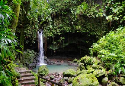 The Emerald Pool. Central Forest Reserve Voyage en Martinique - Aventure ethnique et authentique au cœur des caraïbes