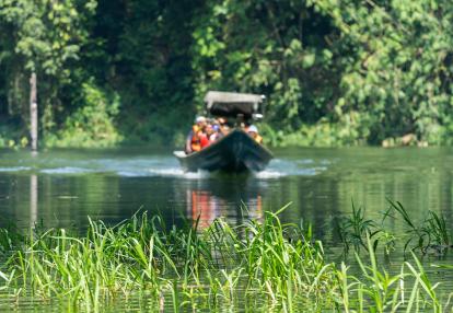 Belum Rainforest Park Voyage en Malaisie - Le Nord-ouest de la Péninsule