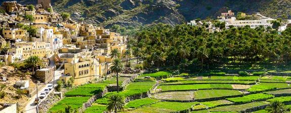 Voyage au Sultanat d'Oman - Du Désert aux Montagne