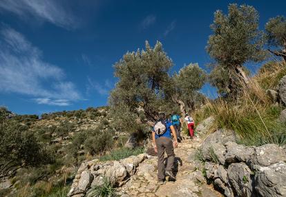 GR221 de Pedra de Sec (pierres sèches) Voyage aux Baléares - Randonnées sur les Sentiers de Majorque