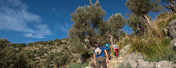 Voyage aux Baléares - Randonnées sur les Sentiers de Majorque