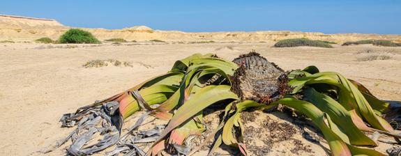 Voyage en Angola - Tribus du Sud et Merveilles du Désert