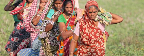 Voyage en Inde - Sur la route des Tribus d'Orissa