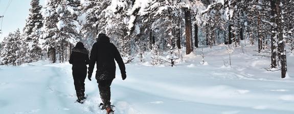 Circuit en Finlande - Un Voyage en Terre de Glace