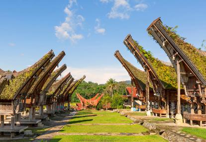 Sulawesi - Toraja, Tongkonan Voyage en Indonésie - Immersion chez le Bugis et Tana Toraja