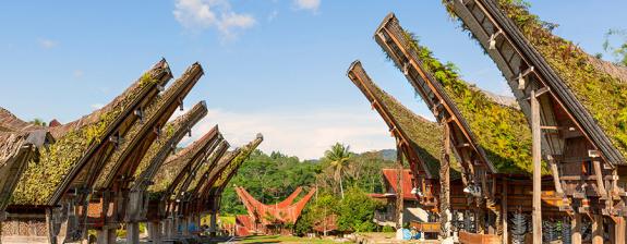 Voyage en Indonésie - Immersion chez le Bugis et Tana Toraja