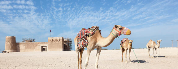 Voyage au Qatar - Forfait 6 Jours - 5 Nuits