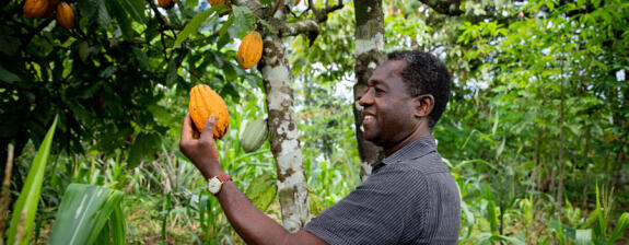 Cacao Voyage en Côte d'Ivoire - Au cœur du cacao et des traditions ivoiriennes