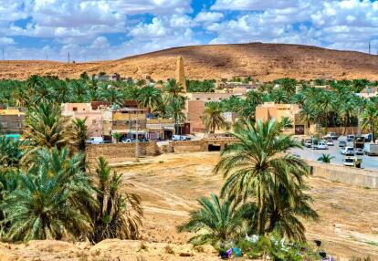 Algérie Antique, Dunes et Oasis