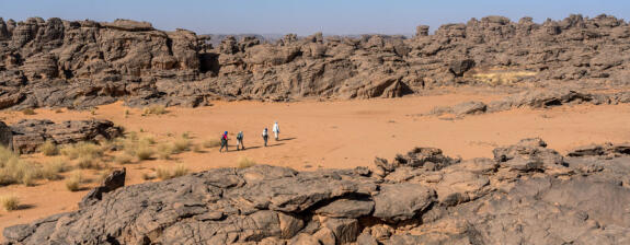 Voyage en Algérie - Fête de la Sébiba