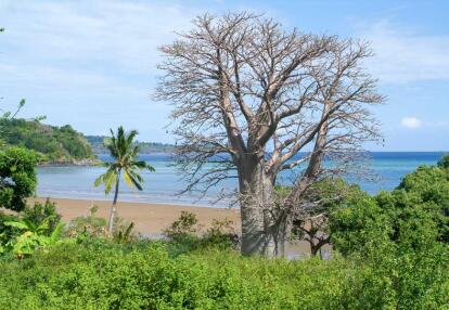 Entre Baobabs & Lagunes