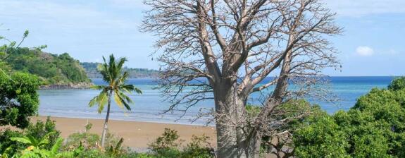 Voyage à Mayotte - Entre Baobabs & Lagunes