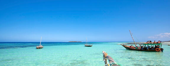 Voyage en Tanzanie - Zanzibar et Saadani, entre Brousse et Océan