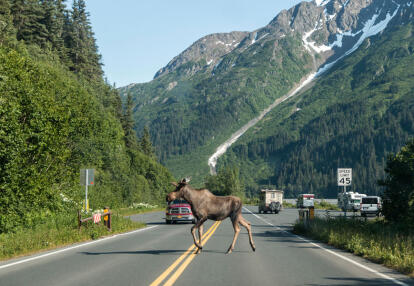 Les incontournables de l'Alaska en 15 jours