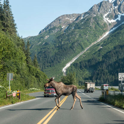 Voyage en Alaska - Les incontournables en 15 jours