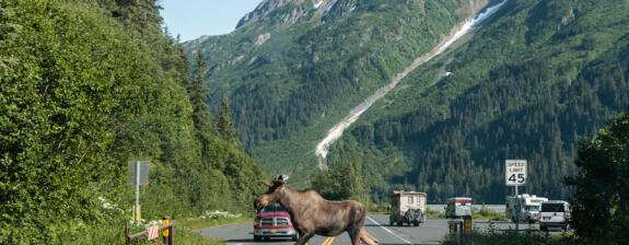 Voyage en Alaska - Les incontournables en 15 jours