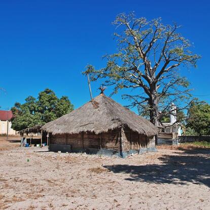 Voyage au Sénégal - L'Essentiel de la Casamance