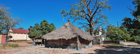 Voyage au Sénégal - L'Essentiel de la Casamance