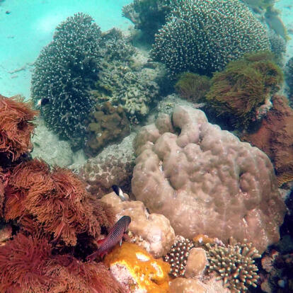 Circuit au Kenya - Echappée Balnéaire au Kenya