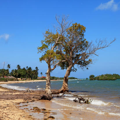 Circuit au Kenya - Echappée Balnéaire au Kenya