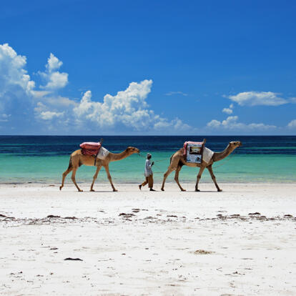Voyage au Kenya - Echappée Balnéaire au Kenya