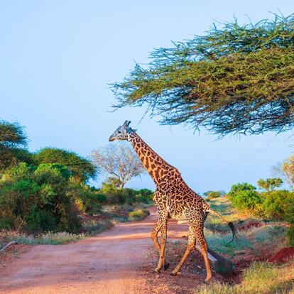 Circuit au Kenya - Echappée Balnéaire au Kenya