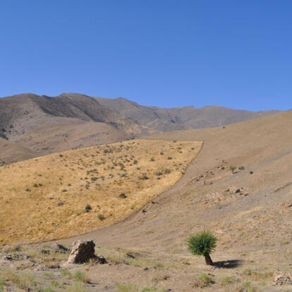 Voyage en Ouzbékistan - Coupoles, Désert et Montagnes