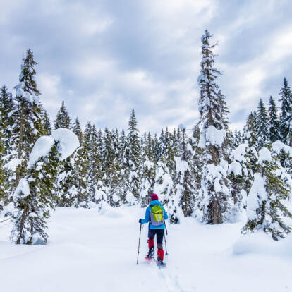 Pokljuka Circuit en Croatie & Slovénie - Féérie Hivernale