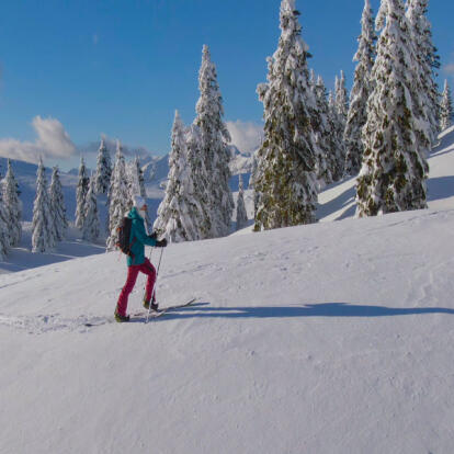 voyage en splitboard Circuit en Slovénie - Le Lac de Bohinj sous la neige