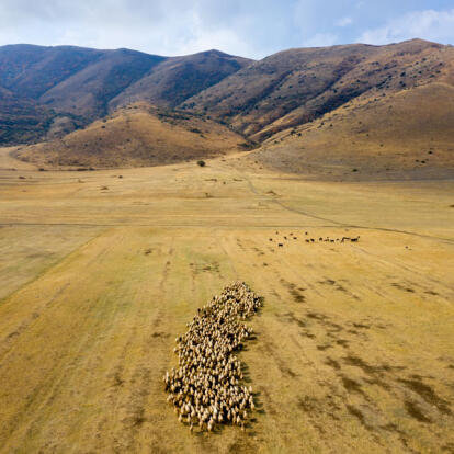 Voyage en Arménie - Monts et merveilles