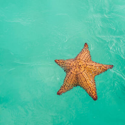 Voyage en République Dominicaine - Entre Côte Caraïbe et Nord Sauvage