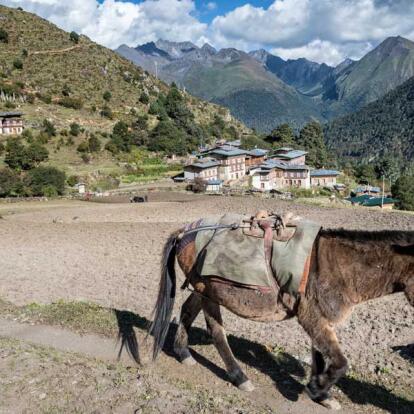 Circuit au Bhoutan - Le Trek du Snowman