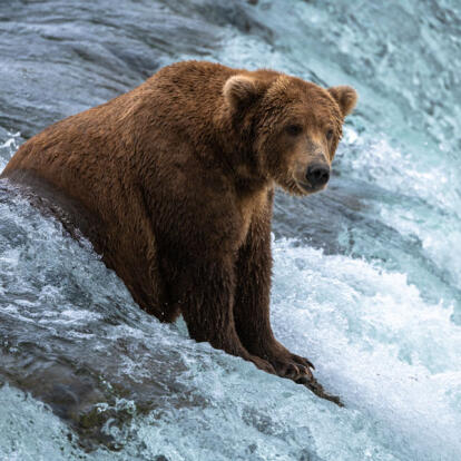 Circuit au Canada & Alaska - La boucle Yukon - Alaska