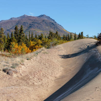 Voyage au Canada & Alaska - La boucle Yukon - Alaska