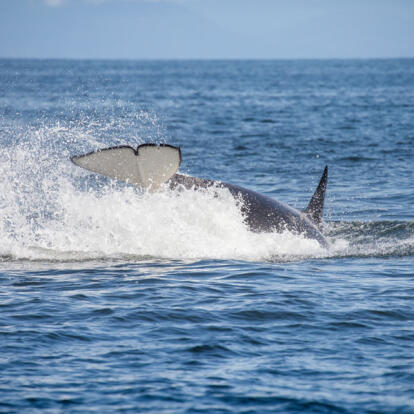 Voyage au Canada - La Grande Traversée Est - Ouest