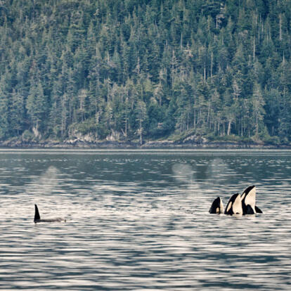 Voyage au Canada - L’Ouest en famille