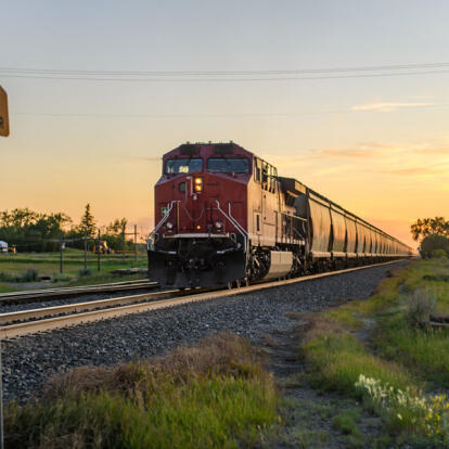 Circuit au Canada - Aurores Boréales et Ours Polaires