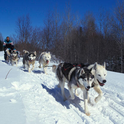 Circuit au Canada - Aventures en famille sous la neige au Québec