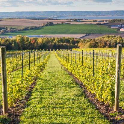 Circuit au Canada - Virée dans les Provinces Maritimes