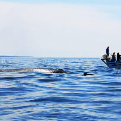 Voyage au Canada - Virée dans les Provinces Maritimes