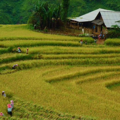 Voyage au Vietnam - En Douceur et en Profondeur